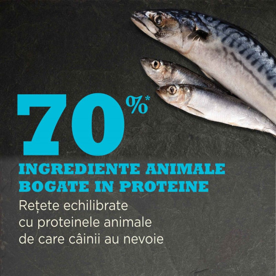 ACANA Highest Protein Pacifica – hrană uscată fără cereale pentru câini, bogată în proteine din pește, 11,4 kg